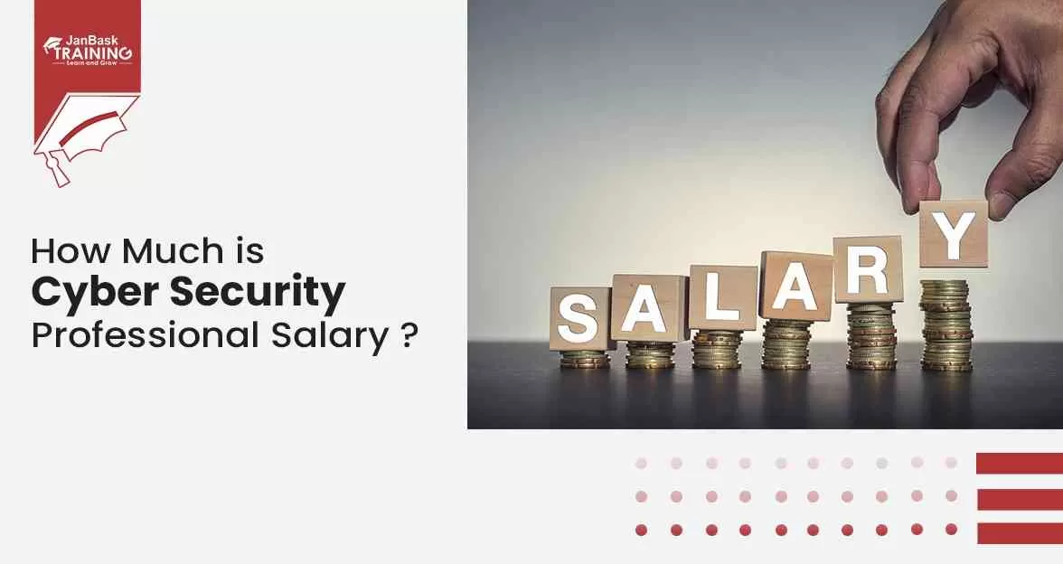 Cyber Security Salary Guide: Explore Jobs & PayScale icon