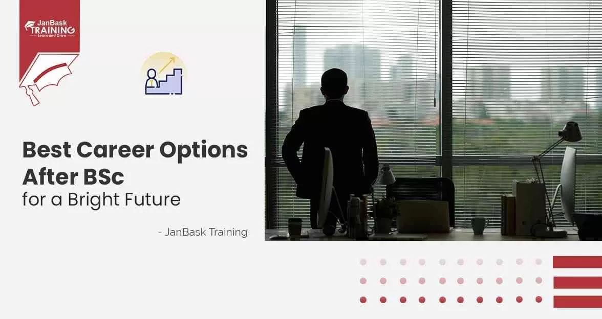  Top Career Options After B.Sc  Course