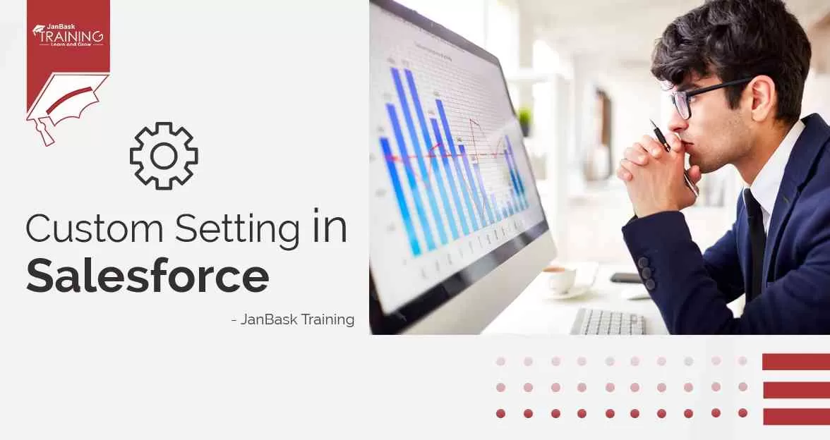 What is the Custom Setting in Salesforce Course