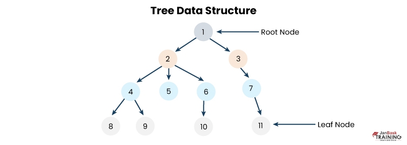 N-ary Tree - Tree Data Structures - InterviewBit