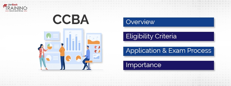 CCBA Musterprüfungsfragen
